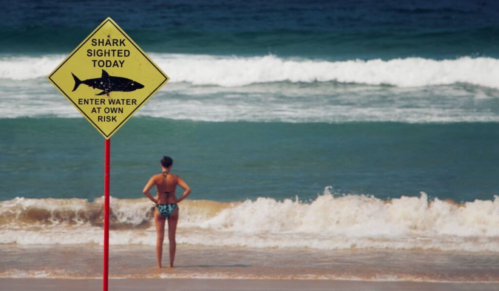 Getting Real About Risk - Beach with shark warming sign